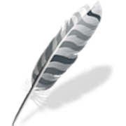 Wing Pro v10.0.7.0 高级版