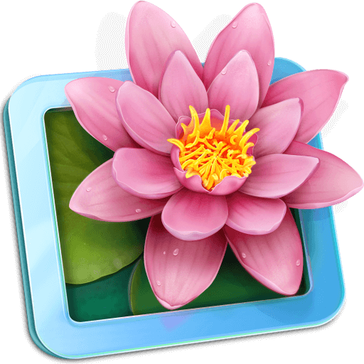LilyView v1.6 高级版