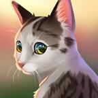 猫咪救援