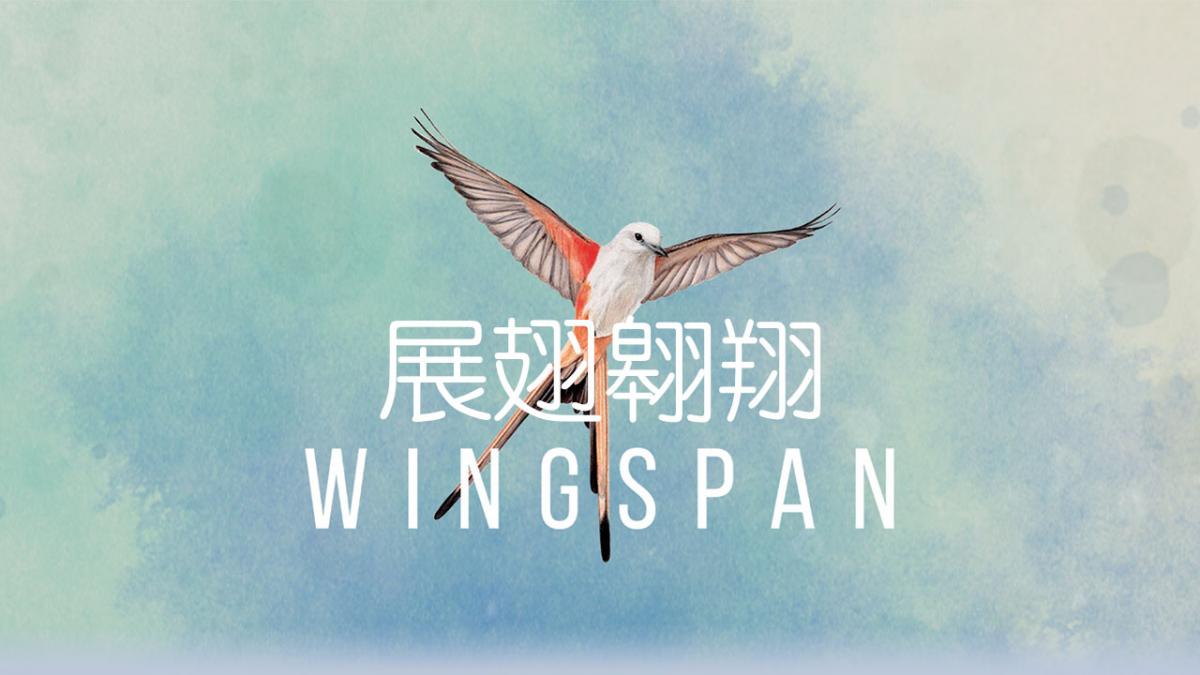 游戏视频