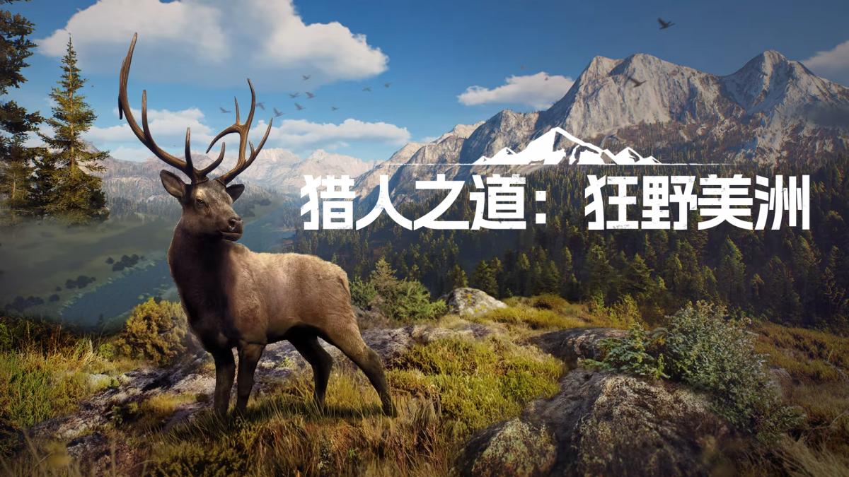 游戏视频