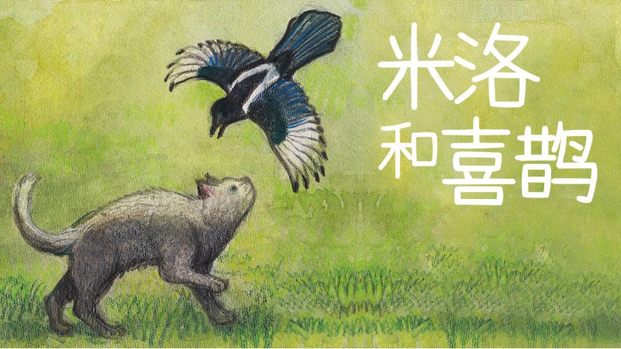 米洛和喜鹊