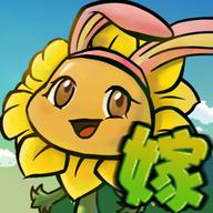 嫁接版（非模拟器）