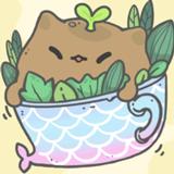 猫咪种植