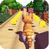 丛林猫跑