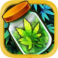 植物种植大亨