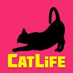 猫的生活