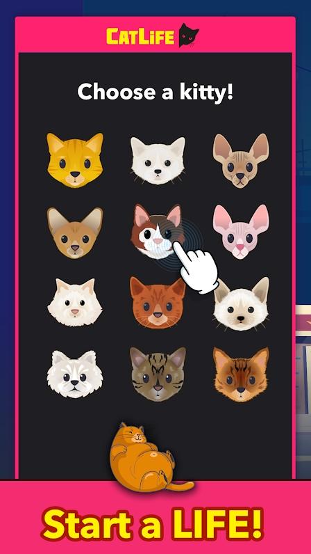 截图5