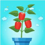 闲置花园