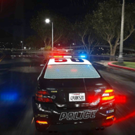 公路警察追逐（MOD菜单）