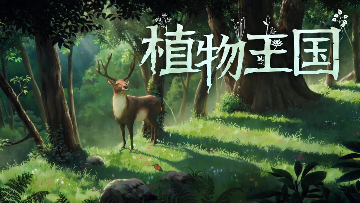 植物王国