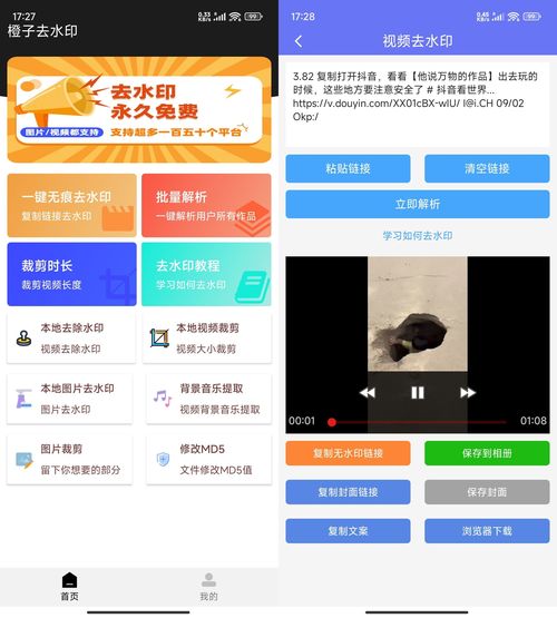橙子去水印解析多功能 v3.1.15功能截图1