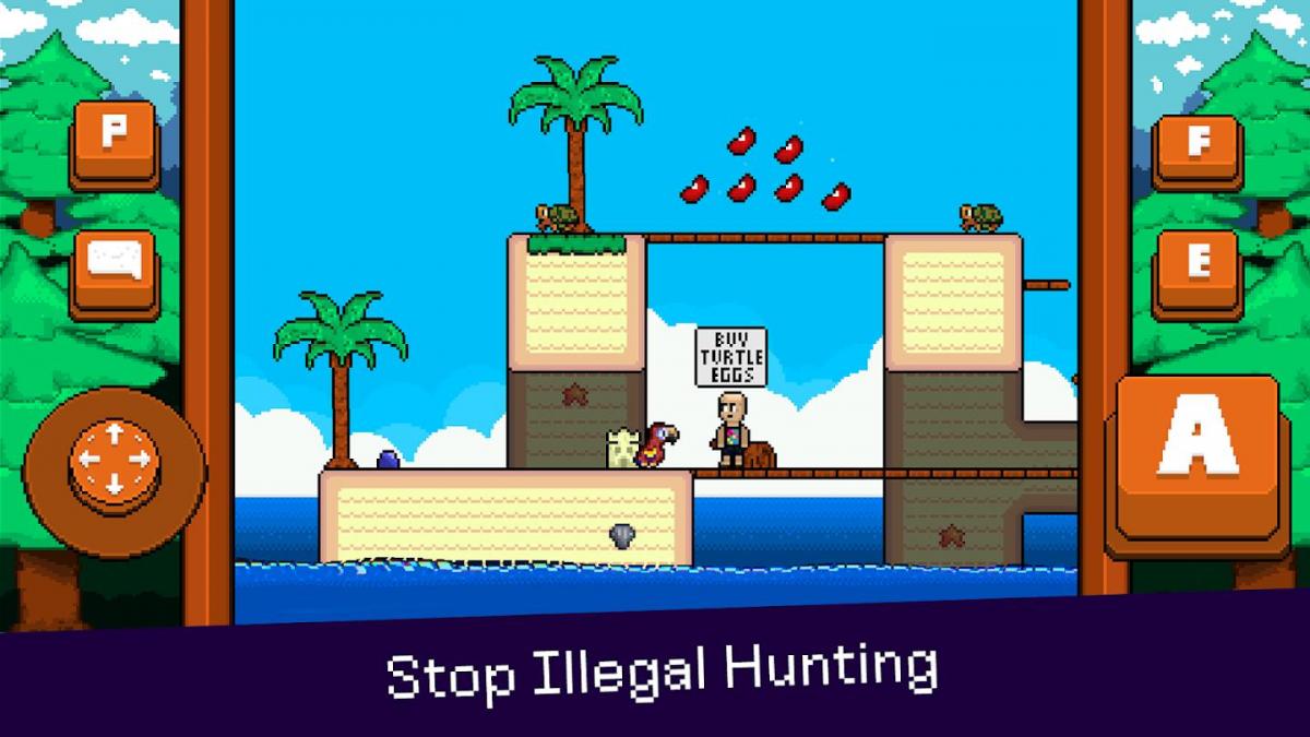 最后的金刚鹦鹉游戏封面