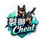 PUBG裂御容器直装软件图标