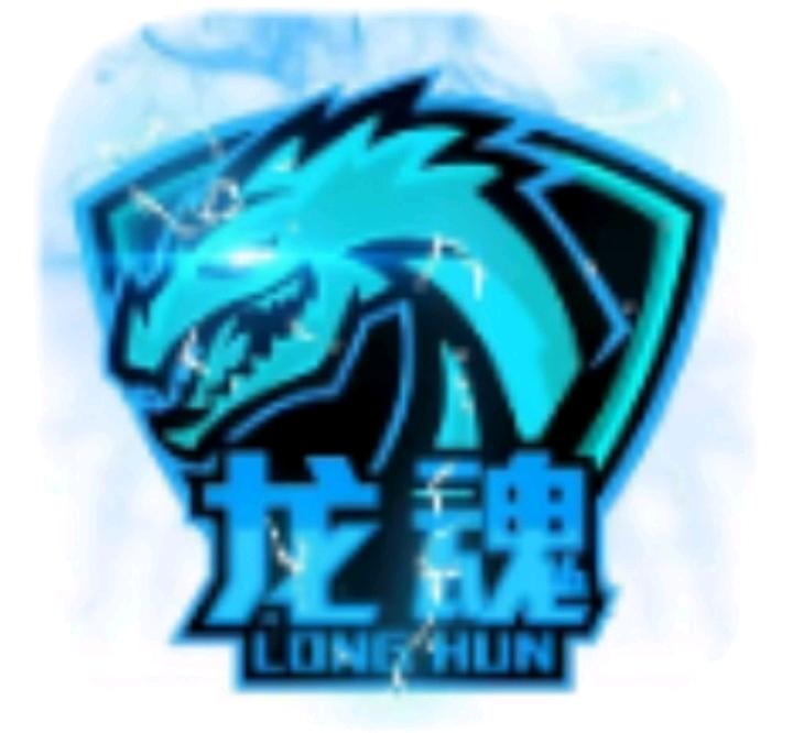 龙魂PUBG直装软件图标